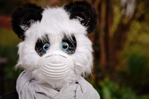 Bitcoza Casino Ondersteuning